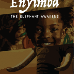 Enyimba-The Elephant Awakens